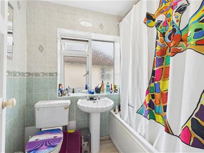 Picture 17